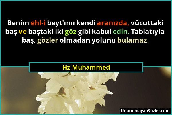 Hz Muhammed - Benim ehl-i beyt'ımı kendi aranızda, vücuttaki baş ve baştaki iki göz gibi kabul edin. Tabiatıyla baş, gözler olmadan yolunu bulamaz....
