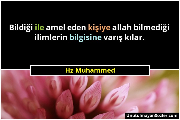 Hz Muhammed - Bildiği ile amel eden kişiye allah bilmediği ilimlerin bilgisine varış kılar....