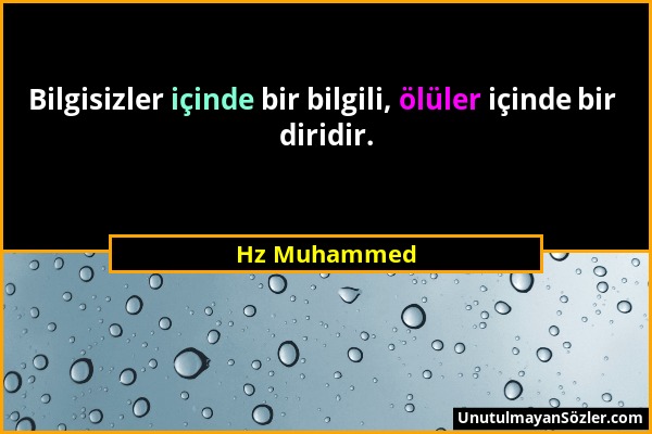 Hz Muhammed - Bilgisizler içinde bir bilgili, ölüler içinde bir diridir....