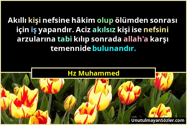 Hz Muhammed - Akıllı kişi nefsine hâkim olup ölümden sonrası için iş yapandır. Aciz akılsız kişi ise nefsini arzularına tabi kılıp sonrada allah'a kar...