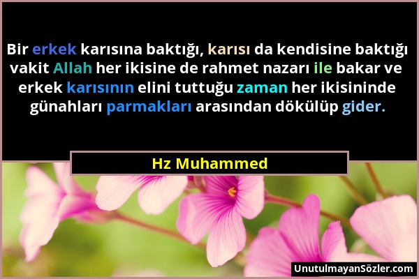 Hz Muhammed - Bir erkek karısına baktığı, karısı da kendisine baktığı vakit Allah her ikisine de rahmet nazarı ile bakar ve erkek karısının elini tutt...