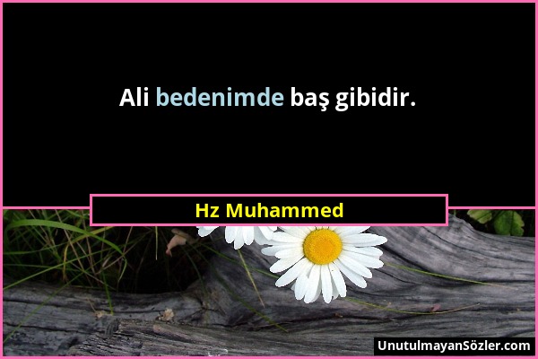 Hz Muhammed - Ali bedenimde baş gibidir....