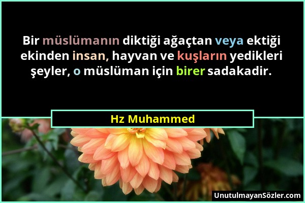 Hz Muhammed - Bir müslümanın diktiği ağaçtan veya ektiği ekinden insan, hayvan ve kuşların yedikleri şeyler, o müslüman için birer sadakadir....