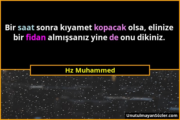 Hz Muhammed - Bir saat sonra kıyamet kopacak olsa, elinize bir fidan almışsanız yine de onu dikiniz....