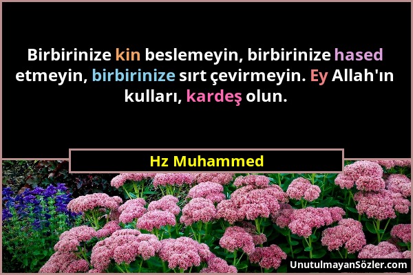 Hz Muhammed - Birbirinize kin beslemeyin, birbirinize hased etmeyin, birbirinize sırt çevirmeyin. Ey Allah'ın kulları, kardeş olun....