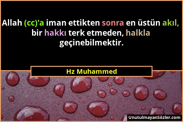 Hz Muhammed - Allah (cc)'a iman ettikten sonra en üstün akıl, bir hakkı terk etmeden, halkla geçinebilmektir....