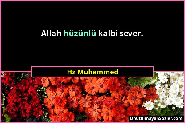 Hz Muhammed - Allah hüzünlü kalbi sever....