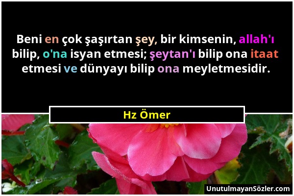 Hz Ömer - Beni en çok şaşırtan şey, bir kimsenin, allah'ı bilip, o'na isyan etmesi; şeytan'ı bilip ona itaat etmesi ve dünyayı bilip ona meyletmesidir...