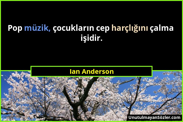 Ian Anderson - Pop müzik, çocukların cep harçlığını çalma işidir....