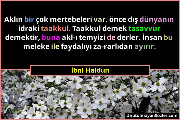 İbni Haldun - Aklın bir çok mertebeleri var. önce dış dünyanın idraki taakkul. Taakkul demek tasavvur demektir, buna akl-ı temyizi de derler. İnsan bu...