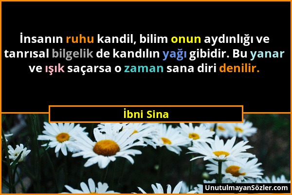 İbni Sina - İnsanın ruhu kandil, bilim onun aydınlığı ve tanrısal bilgelik de kandılın yağı gibidir. Bu yanar ve ışık saçarsa o zaman sana diri denili...