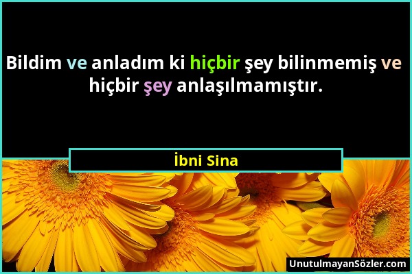 İbni Sina - Bildim ve anladım ki hiçbir şey bilinmemiş ve hiçbir şey anlaşılmamıştır....