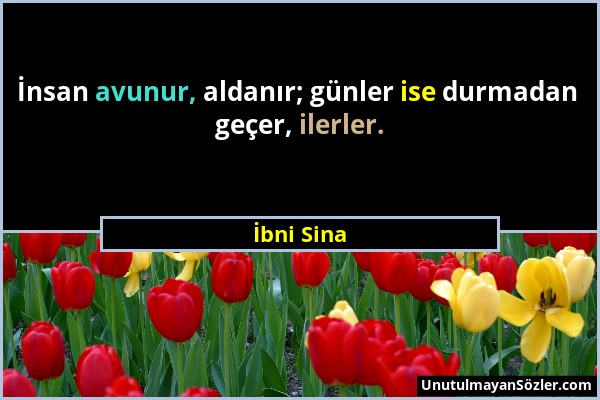 İbni Sina - İnsan avunur, aldanır; günler ise durmadan geçer, ilerler....