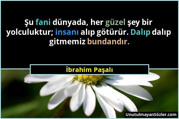 İbrahim Paşalı - Şu fani dünyada, her güzel şey bir yolculuktur; insanı alıp götürür. Dalıp dalıp gitmemiz bundandır....