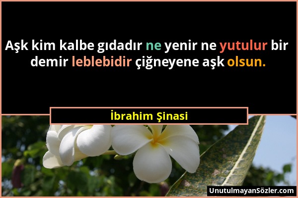 İbrahim Şinasi - Aşk kim kalbe gıdadır ne yenir ne yutulur bir demir leblebidir çiğneyene aşk olsun....