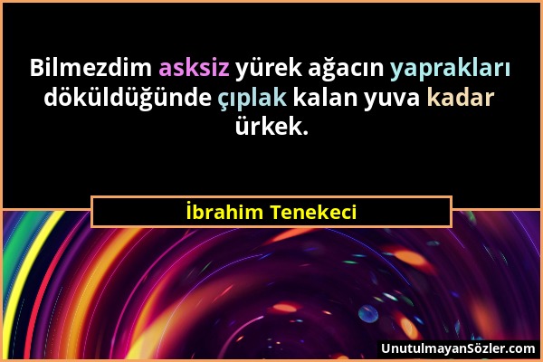 İbrahim Tenekeci - Bilmezdim asksiz yürek ağacın yaprakları döküldüğünde çıplak kalan yuva kadar ürkek....