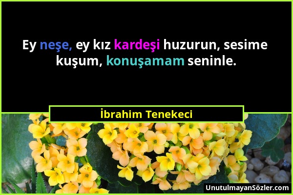 İbrahim Tenekeci - Ey neşe, ey kız kardeşi huzurun, sesime kuşum, konuşamam seninle....