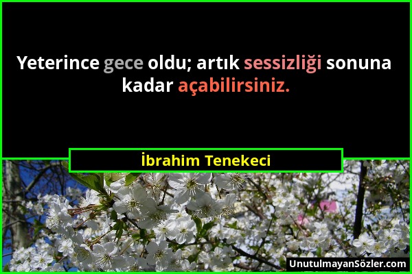 İbrahim Tenekeci - Yeterince gece oldu; artık sessizliği sonuna kadar açabilirsiniz....