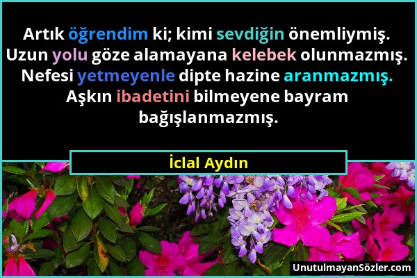 İclal Aydın - Artık öğrendim ki; kimi sevdiğin önemliymiş. Uzun yolu göze alamayana kelebek olunmazmış. Nefesi yetmeyenle dipte hazine aranmazmış. Aşk...