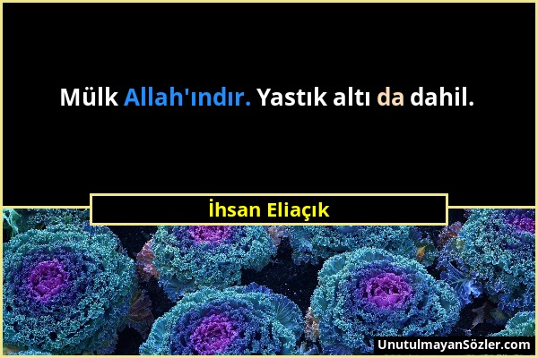 İhsan Eliaçık - Mülk Allah'ındır. Yastık altı da dahil....