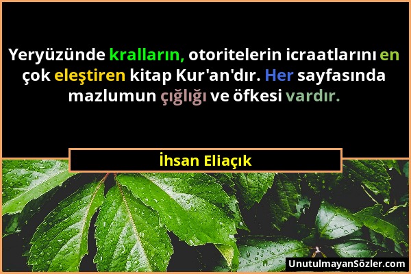 İhsan Eliaçık - Yeryüzünde kralların, otoritelerin icraatlarını en çok eleştiren kitap Kur'an'dır. Her sayfasında mazlumun çığlığı ve öfkesi vardır....