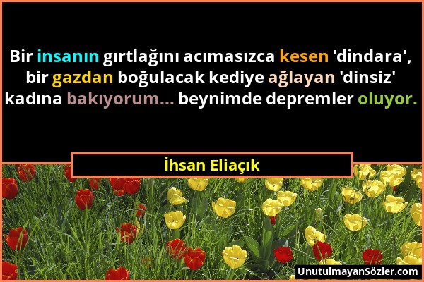 İhsan Eliaçık - Bir insanın gırtlağını acımasızca kesen 'dindara', bir gazdan boğulacak kediye ağlayan 'dinsiz' kadına bakıyorum... beynimde depremler...