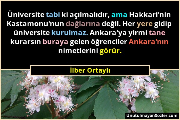 İlber Ortaylı - Üniversite tabi ki açılmalıdır, ama Hakkari'nin Kastamonu'nun dağlarına değil. Her yere gidip üniversite kurulmaz. Ankara'ya yirmi tan...