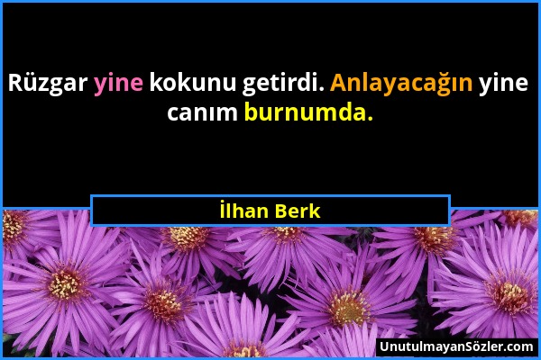 İlhan Berk - Rüzgar yine kokunu getirdi. Anlayacağın yine canım burnumda....