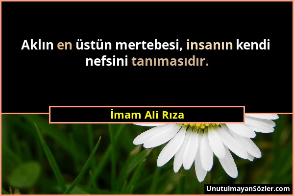 İmam Ali Rıza - Aklın en üstün mertebesi, insanın kendi nefsini tanımasıdır....