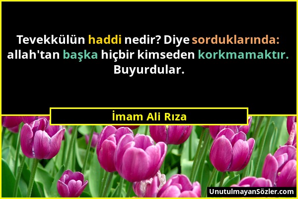 İmam Ali Rıza - Tevekkülün haddi nedir? Diye sorduklarında: allah'tan başka hiçbir kimseden korkmamaktır. Buyurdular....