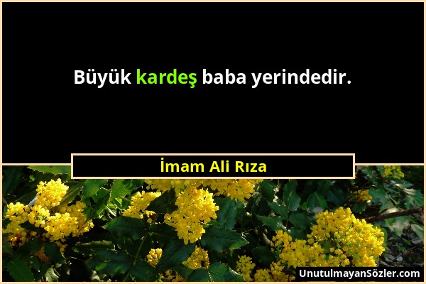 İmam Ali Rıza - Büyük kardeş baba yerindedir....