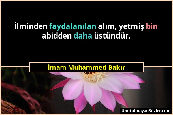 İmam Muhammed Bakır - İlminden faydalanılan alım, yetmiş bin abidden daha üstündür....