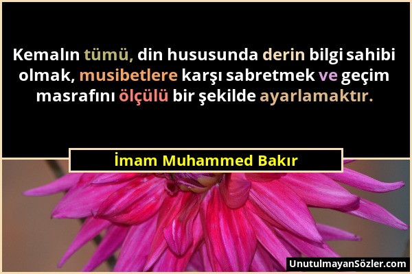 İmam Muhammed Bakır - Kemalın tümü, din hususunda derin bilgi sahibi olmak, musibetlere karşı sabretmek ve geçim masrafını ölçülü bir şekilde ayarlama...