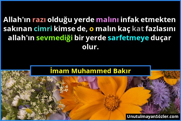 İmam Muhammed Bakır - Allah'ın razı olduğu yerde malını infak etmekten sakınan cimri kimse de, o malın kaç kat fazlasını allah'ın sevmediği bir yerde...