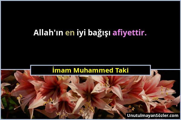 İmam Muhammed Taki - Allah'ın en iyi bağışı afiyettir....