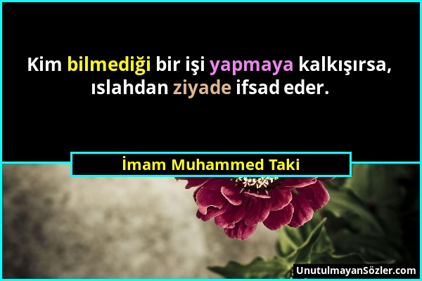 İmam Muhammed Taki - Kim bilmediği bir işi yapmaya kalkışırsa, ıslahdan ziyade ifsad eder....