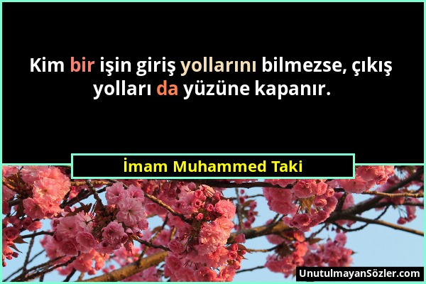 İmam Muhammed Taki - Kim bir işin giriş yollarını bilmezse, çıkış yolları da yüzüne kapanır....