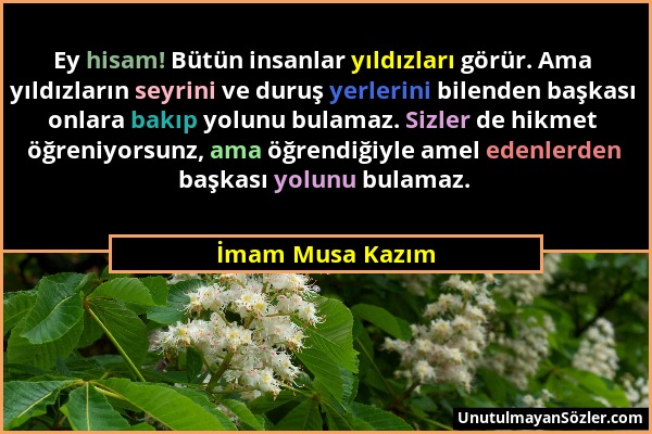 İmam Musa Kazım - Ey hisam! Bütün insanlar yıldızları görür. Ama yıldızların seyrini ve duruş yerlerini bilenden başkası onlara bakıp yolunu bulamaz....