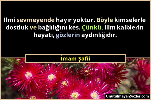 İmam Şafii - İlmi sevmeyende hayır yoktur. Böyle kimselerle dostluk ve bağlılığını kes. Çünkü, ilim kalblerin hayatı, gözlerin aydınlığıdır....