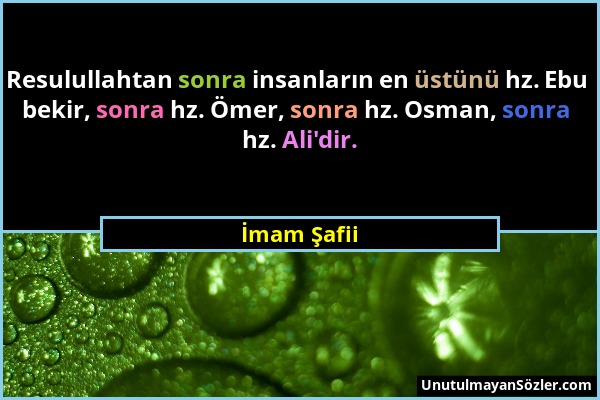 İmam Şafii - Resulullahtan sonra insanların en üstünü hz. Ebu bekir, sonra hz. Ömer, sonra hz. Osman, sonra hz. Ali'dir....