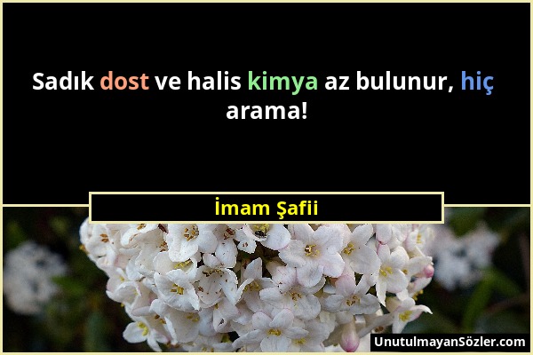 İmam Şafii - Sadık dost ve halis kimya az bulunur, hiç arama!...