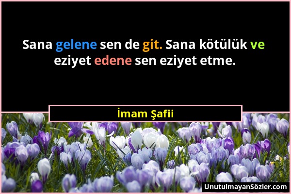 İmam Şafii - Sana gelene sen de git. Sana kötülük ve eziyet edene sen eziyet etme....