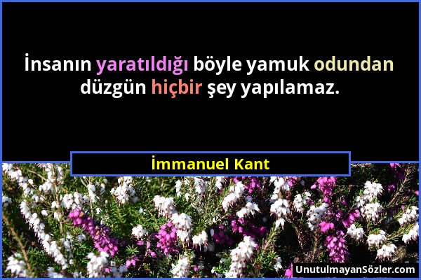 İmmanuel Kant - İnsanın yaratıldığı böyle yamuk odundan düzgün hiçbir şey yapılamaz....