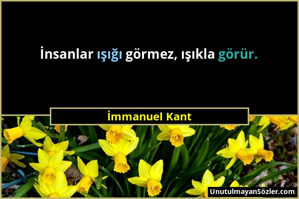 İmmanuel Kant - İnsanlar ışığı görmez, ışıkla görür....