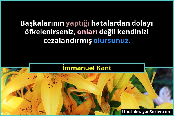 İmmanuel Kant - Başkalarının yaptığı hatalardan dolayı öfkelenirseniz, onları değil kendinizi cezalandırmış olursunuz....