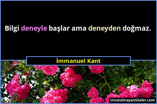 İmmanuel Kant - Bilgi deneyle başlar ama deneyden doğmaz....