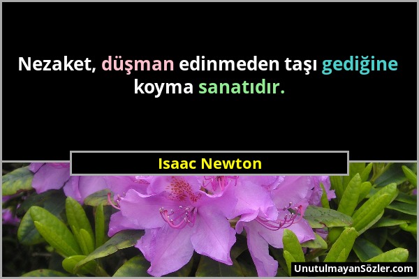Isaac Newton - Nezaket, düşman edinmeden taşı gediğine koyma sanatıdır....