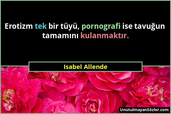 Isabel Allende - Erotizm tek bir tüyü, pornografi ise tavuğun tamamını kulanmaktır....