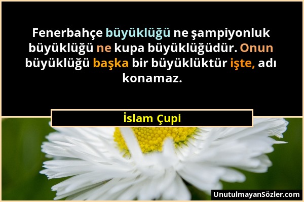 İslam Çupi - Fenerbahçe büyüklüğü ne şampiyonluk büyüklüğü ne kupa büyüklüğüdür. Onun büyüklüğü başka bir büyüklüktür işte, adı konamaz....