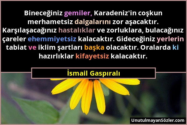 İsmail Gaspıralı - Bineceğiniz gemiler, Karadeniz'in coşkun merhametsiz dalgalarını zor aşacaktır. Karşılaşacağınız hastalıklar ve zorluklara, bulacağ...